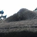 까치구멍집 이미지