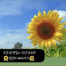 어선회수산