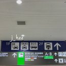 (유)이레 | 부모님 모시고 오키나와 2박 3일 여행 ; 대한항공(진에어 공동운항), 유이레일, 스트라타 나하 솔직 후기