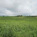 동아목장 이미지