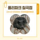 폴리파크 칠곡점 네이버블로그