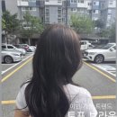 토프레드