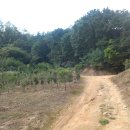 능안농장 이미지