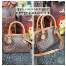 메리다 패밀리 리페어 이미지