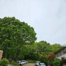 호현마을_상 이미지