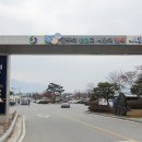 충북 충주라바랜드 충북일보