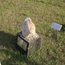 안동김씨 사충문 이미지