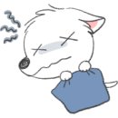 대현동물약국 이미지