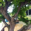 수렴1리 이미지