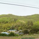 대곡마을회관 이미지