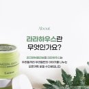 라라하우스 이미지