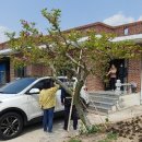 구례보건의료원 이미지