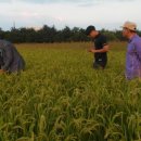 장양농장 이미지