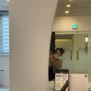 피티다움 이미지