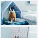 렛츠개릿 이미지