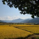 신지경로당 네이버블로그