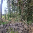 상예동-6 이미지