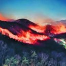 삼정로 이미지
