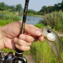 남방낚시터 이미지