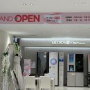 LG 혼수 가전 백화점과 엘지닷컴 최종 체감가 비교 및 구매 후기
