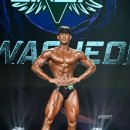 바디소나타 이미지