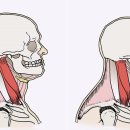 경희보비한의원 이미지