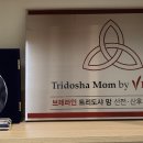 샤테라피 이미지