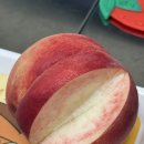 정안농장 | 유여사네 복숭아 후기 | 대홍·마도카 맛부터 구매팁까지 풀어봤어요🍑