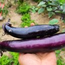 말래펜션 이미지