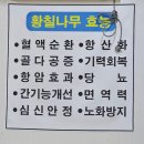 장항수정식당 네이버블로그