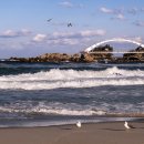 삼척 용화항에서 이미지