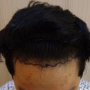 모힐의원 이미지