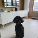 포우농장 이미지