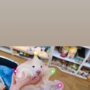 혈도농장 네이버블로그