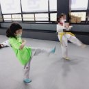 무덕태권도 이미지