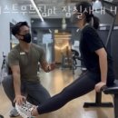 머스트 짐 이미지