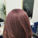 주공미용실 - 안산시 단원구 | 주공미용실