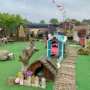 오빠애돈카츠 | 인천 영흥도 고양이역카페, 고양이보호소 - 첫 방문 후기