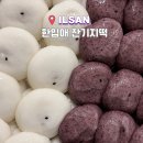 한입애