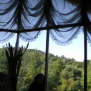 사진마당 이미지