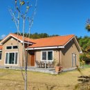 stay봄날 이미지