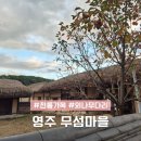 영주수도리김덕진가옥 | 경북 영주 당일치기 여행지 추천 무섬마을 외나무다리