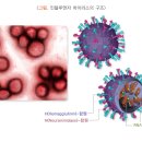 시흥365열린의원 네이버블로그