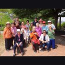 다온자연요양병원 | [서울 은평구 요양원 요양병원 추천 가격, 장소 정보] 다온데이케어센터 은평구 요양센터, 맞춤 케어 중심