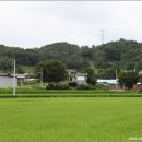 강감찬 충현사 Daum카페