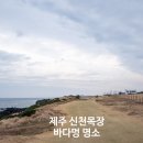 바다목장 | 제주 신천목장 바다멍 명소, 신풍신천 바다목장에서 힐링하고 온 후기
