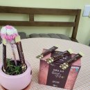 (주)삼양제넥스 이미지