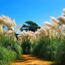 청산정원 이미지