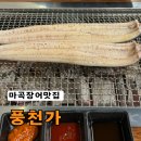 강서구장어맛집 풍천가 마곡직영점 소금구이 후기