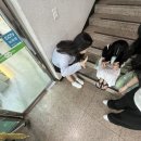 경주 풀빌라 몽펜션 이미지